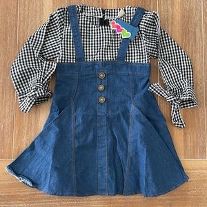 Denim and Plaid Dress